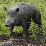 Wildschweine