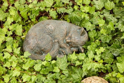Rottenecker Bronzefigur Katze, kuschelnd