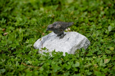 Rottenecker Bronzefigur Vogelpaar klein auf Alaska-Stein