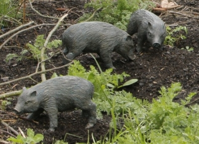 Rottenecker Bronzefigur Frischling (rechts schauend)