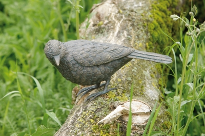 Rottenecker Bronzefigur Amsel