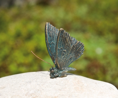 Rottenecker Bronzefigur Schmetterling