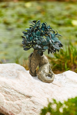 Rottenecker Bronzefigur Bonsai gro