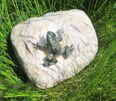 Rottenecker Bronzefigur Mini-Frosch auf Stein