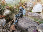 Rottenecker Bronzefigur Froschknig Frieder, gro