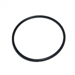 O-Ring 45,0x2,0 Aquarius 1200/1800/2500 / Aquasolar 1500