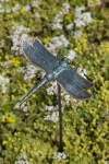 Rottenecker Bronzefigur Libelle mit Erdspie