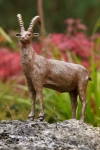 Rottenecker Bronzefigur Steinbock