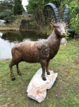 Rottenecker Bronzefigur Steinbock - lebensgro