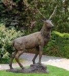 Rottenecker Bronzefigur Hirsch - lebensgro